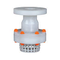 PP Foot Valve Flange End Thread End