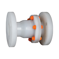 PP Non Return Valve Flange End